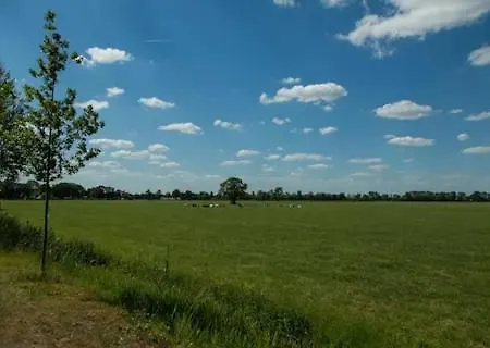 Mooie Op De Veluwe Aan De Rand Het Veluwemeer * Nunspeet