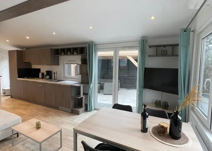 Mooie Op De Veluwe Aan De Rand Het Veluwemeer